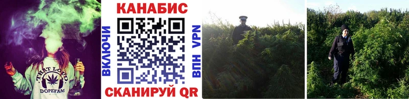 Наркошоп купить ГАШ  Кокаин  Меф  Alpha PVP  Марихуана  Вольск