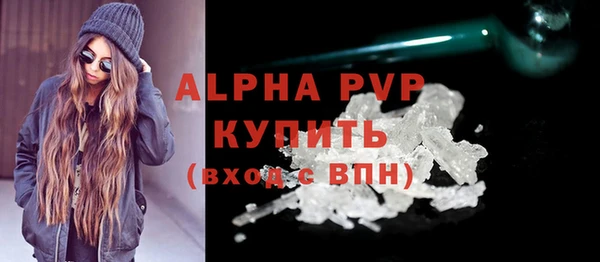 твердый Инсар
