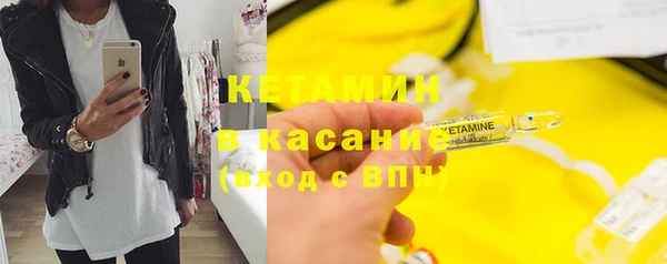 твердый Инсар
