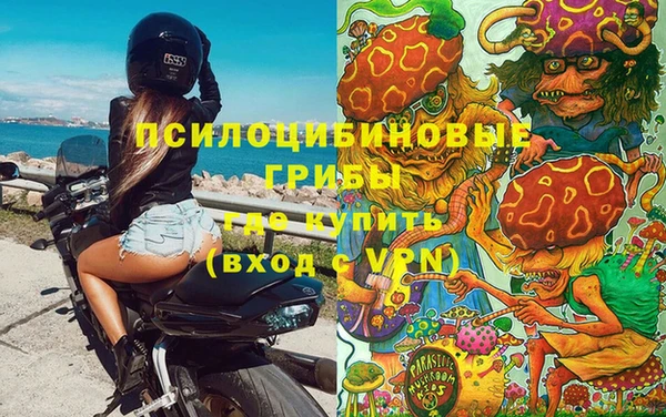 мескалин Инта