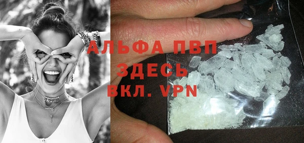 твердый Инсар