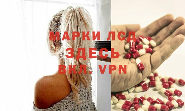 твердый Инсар