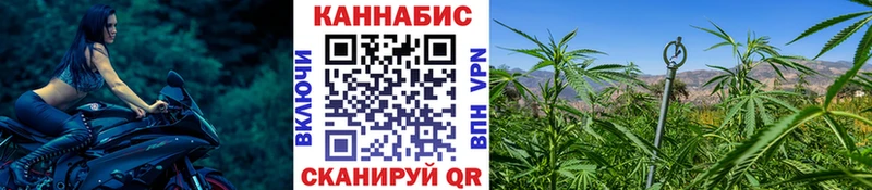 Купить где  Вольск  Бошки марихуана индика 